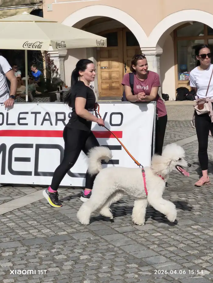 01775666632MVavtor-AK-Krka_20260406_155456_1.webp-nm-tek.si