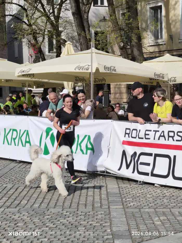 41775666632MVavtor-AK-Krka_20260406_155455.webp-nm-tek.si