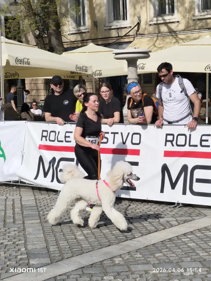 51775666632MVavtor-AK-Krka_20260406_155456.webp-nm-tek.si